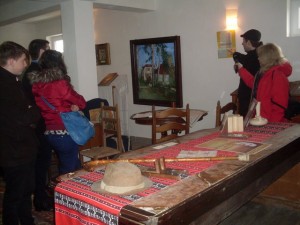 badacin-salaj-6