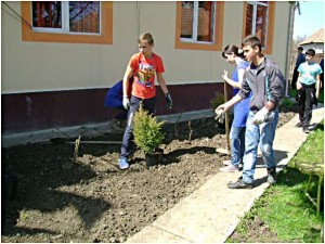 curatenie-primavara-bocsa-salaj-1