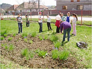 curatenie-primavara-bocsa-salaj-3