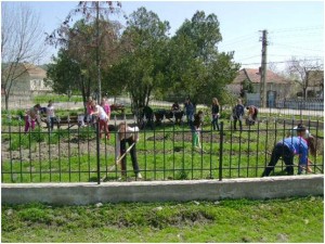 curatenie-primavara-bocsa-salaj