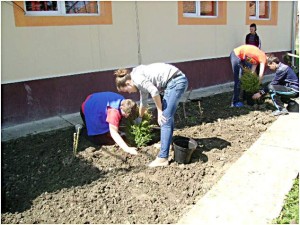 curatenie-primavara-bocsa-salaj-4