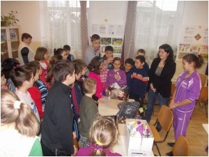eco-bocsa-salaj-3