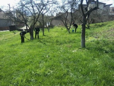 ecologizare-cns-zalau