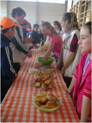 gogosiada-bocsa-salaj