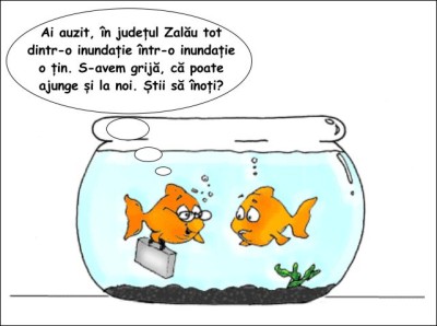 inundatie