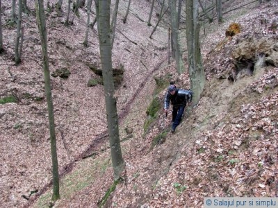padure_clit_salaj__10_