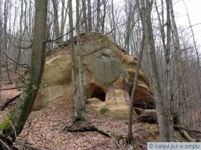 padure_clit_salaj__4_