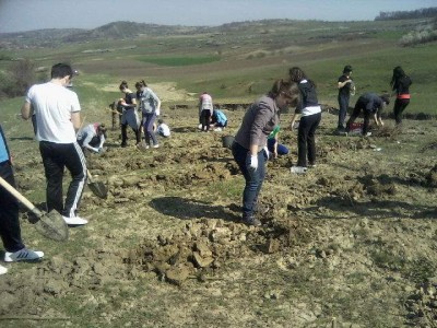 plantat-puieti-cns-zalau