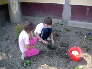 spatii-verzi-bocsa-salaj-1