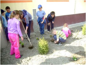 spatii-verzi-bocsa-salaj