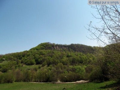 valisoara-salaj (2)
