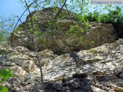 valisoara-salaj (29)