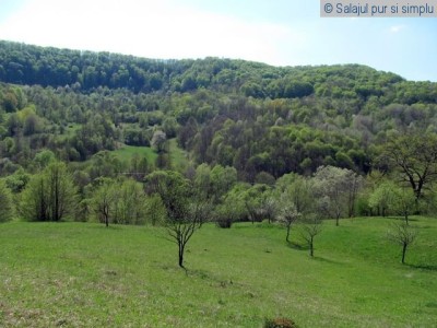 valisoara-salaj (36)