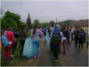 ecologizare-salajeni-salaj-1