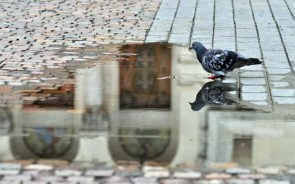 universuri-paralele-4