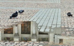 universuri-paralele-5