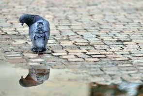 universuri-paralele-6