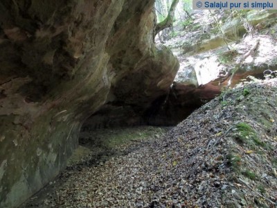 cetatea_lui_pintea_buzas_salaj__15_