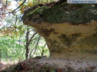 cetatea_lui_pintea_buzas_salaj__2_