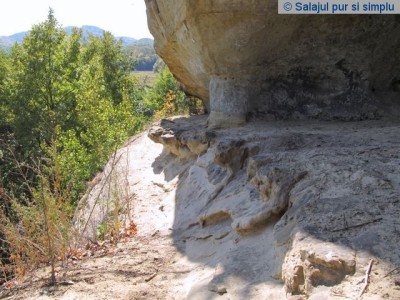 cetatea_lui_pintea_buzas_salaj__5_