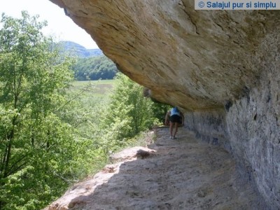 cetatea_lui_pintea_buzas_salaj__6_
