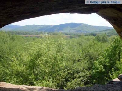 cetatea_lui_pintea_buzas_salaj__7_