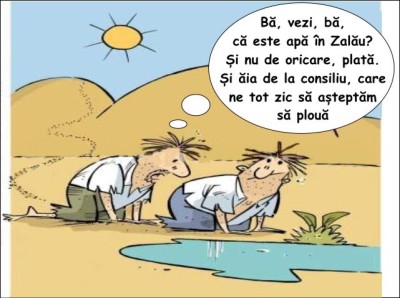 apa-zalau