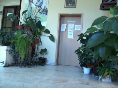 cadastru