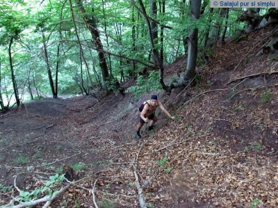 magura_priei_salaj__44_
