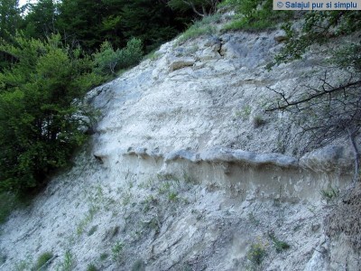 magura_priei_salaj__46_
