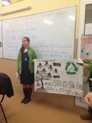 ecoprovocarea