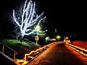 gradina-botanica-jibou-2