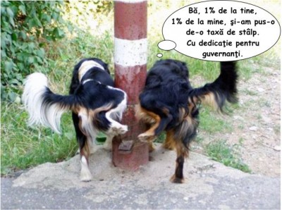 taxa-pe-stalp