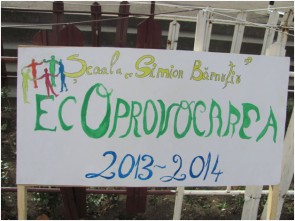 eco-simion-barnutiu