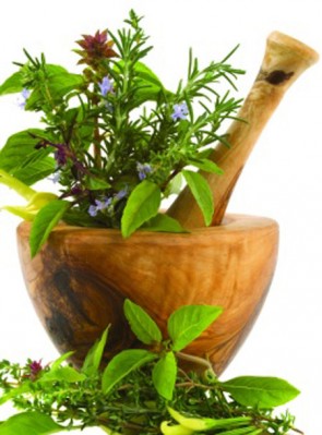 Herbs-web