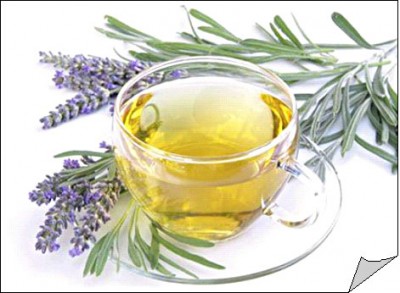 lavanda