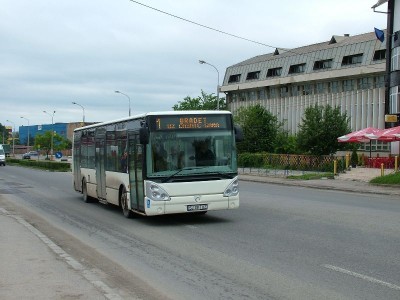 ruta-autobuze