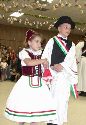 sunt-fecior-de-salajean