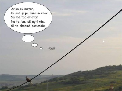 avion-dezinsectie