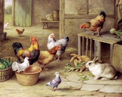 expozitie-iepuri-pasari