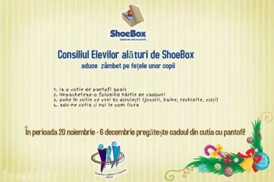 shoe-box