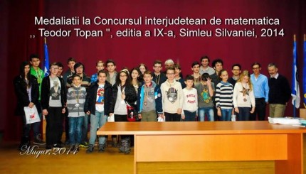 concursul-teodor-topan