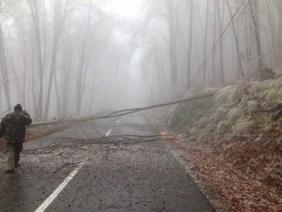 ploaie-inghetata-meses