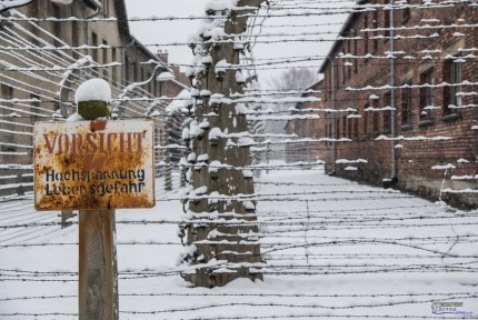 70ani-de-la-eliberarea-lagarului-Auschwitz-Birkenau-11
