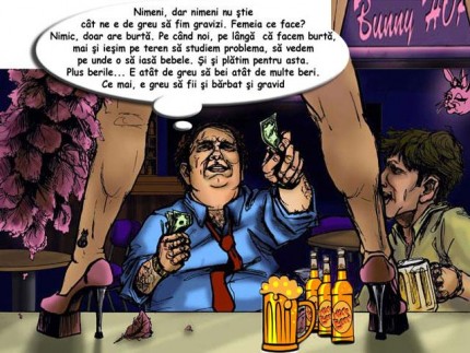 barbat_gravid