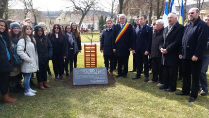 placa_aniversara_simleu