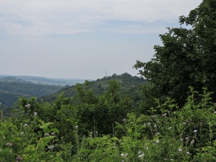 dacidava_magura_simleului_salaj__9_