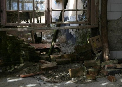 campanie_casa_maniu 1