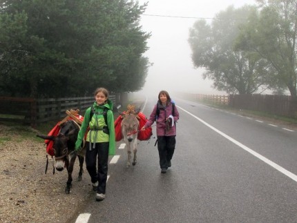 magarusi_apuseni__13_