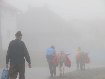 magarusi_apuseni__14_